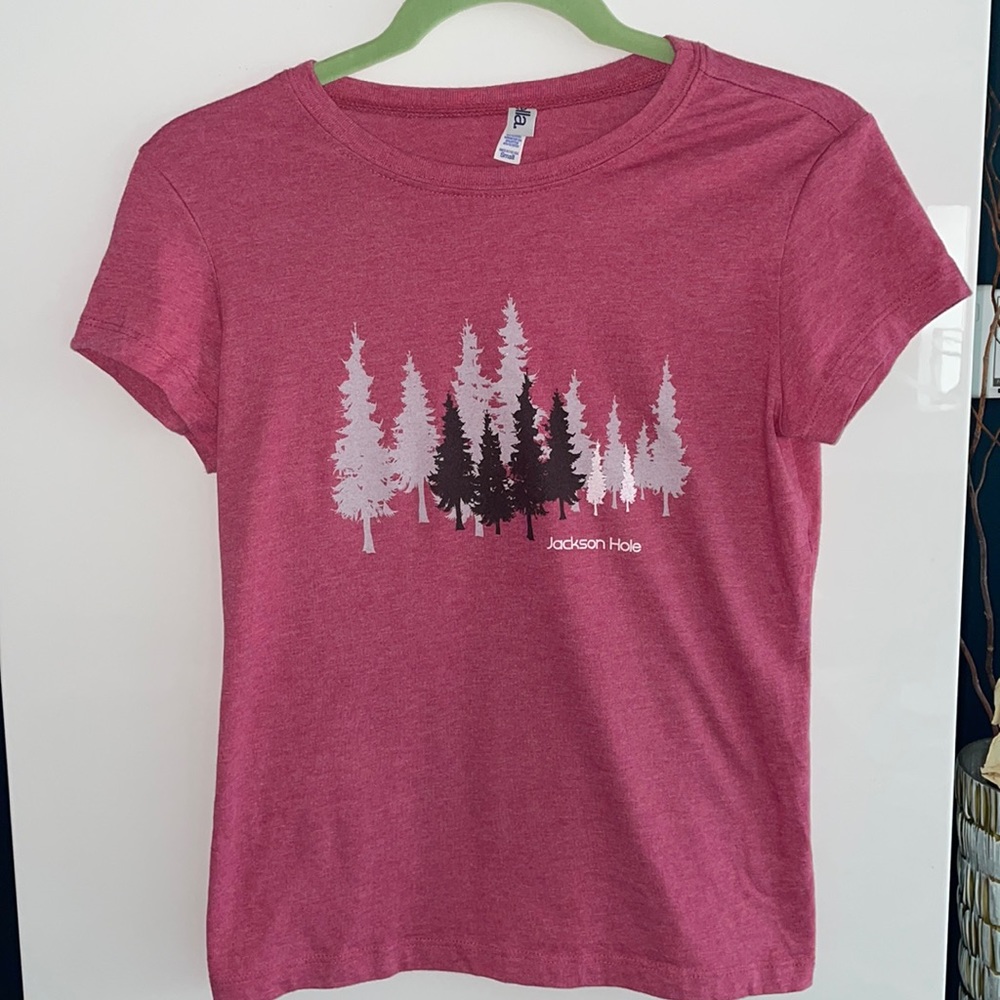 Jackson Hole T shirt Size S